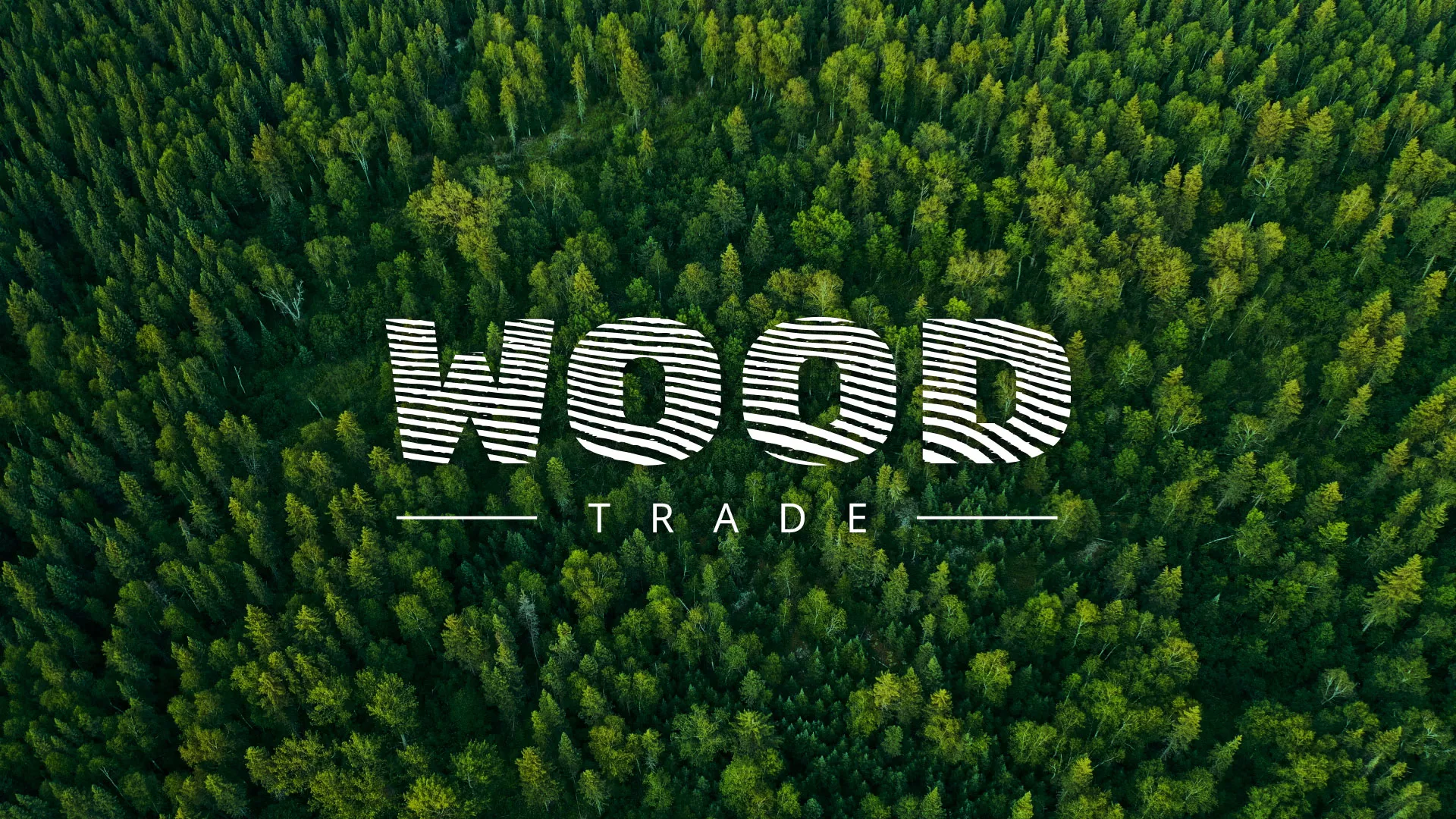 Разработка интернет-магазина компании «Wood Trade» в Вятских Полянах